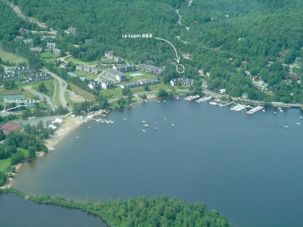 Auberge Le Lupin-Self Check-In Mont-Tremblant Bagian luar foto